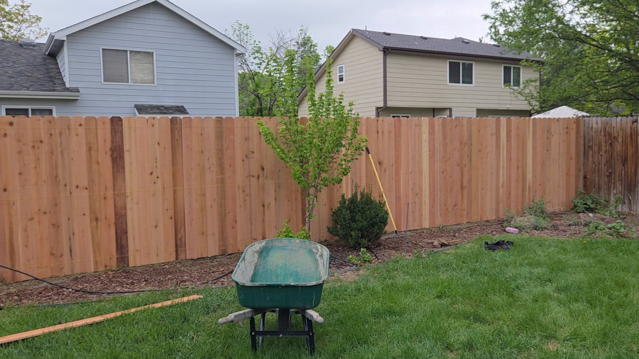 New cedar privacy fence installation in Longmont, Colorado